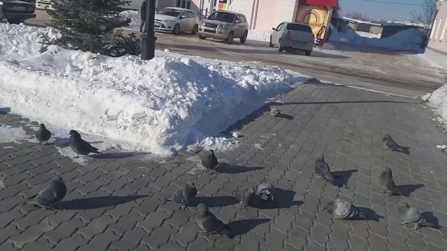 С Праздником 23 февраля Всех.Всем Мира и Добра.🕊🎈🎉🕊🕊🎈🎉🕊 смотреть онлайн