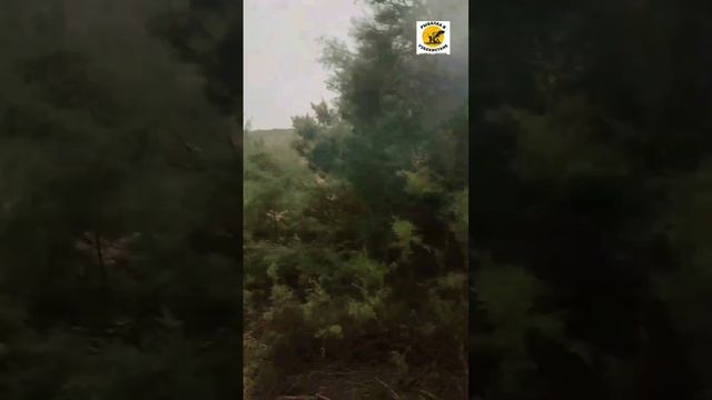 РЫБАЛКА В АРНАСАЕЕ смотреть онлайн