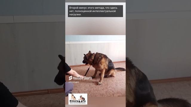 Чем современные методы дрессировки лучше старых, советских. Часть 2 смотреть онлайн