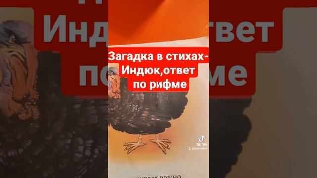 Загадка в стихах- индюк,ответ по рифме, аудиоформат смотреть онлайн