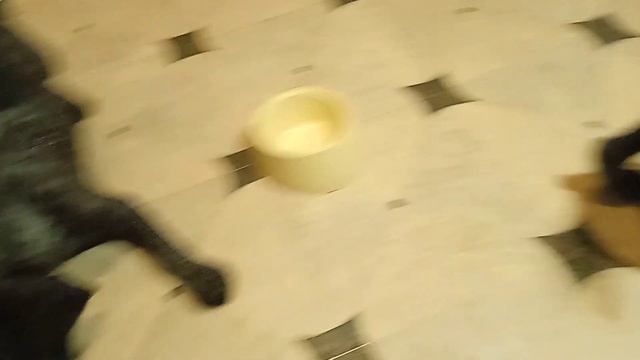 Барс и бурый смотреть онлайн