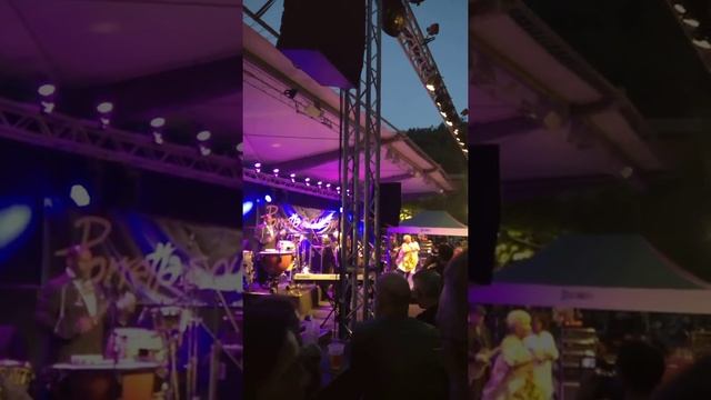 The Original James Brown Band & Marta High Porretta Soul Festival 2017 Bis смотреть онлайн