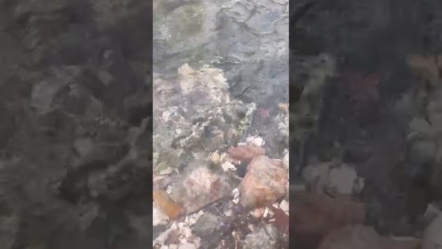 Крым 💖💖💖 Горная река 🌊🌊🌊 смотреть онлайн