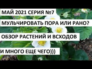 Май 2021 серия №7. Пора мульчировать огород.