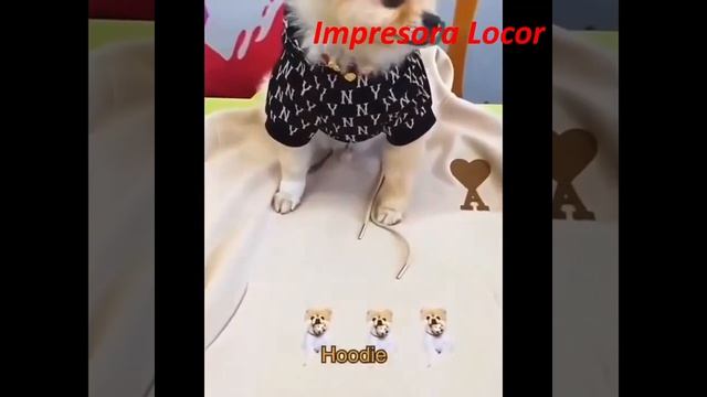 Locor DTF Clothing Printer with fast speed смотреть онлайн