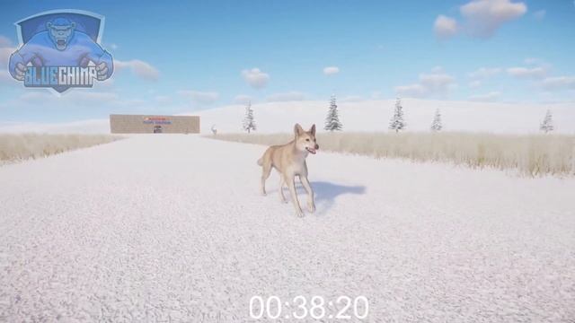 Wild Animals Snow Race - Meerkat, Maned Wolf, Grizzly Bear, Dingo, Quokka | Planet Zoo смотреть онлайн