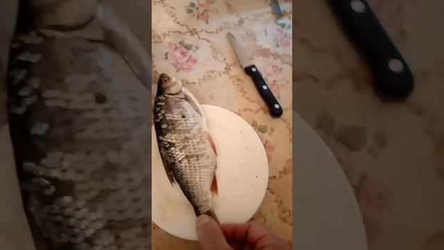 как разделать рыбу на филе, без единой косточки смотреть онлайн