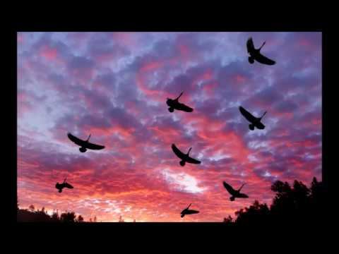 ЖУРАВЛИ - Екатерина Гурылева