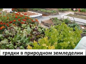 Грядки в природном земледелии.