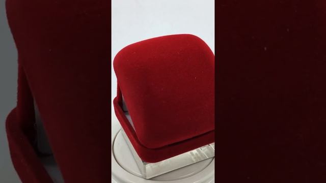 №228 Нагрудный знак "МАГИСТР", фрачный, традиционный №2 смотреть онлайн