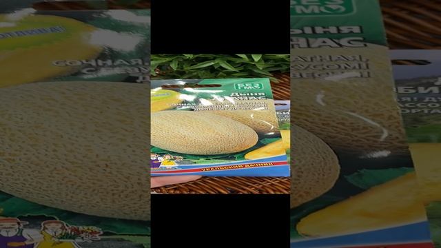 Буду растить дыньку. смотреть онлайн