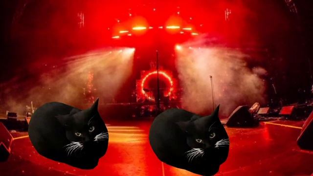 Maxwell the Cat Dance in Different years part 6 смотреть онлайн