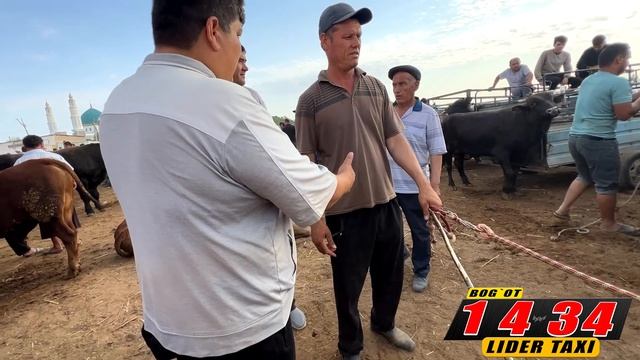 ХОРАЗМ МОЛ  БОЗОР  НАРХЛАРИ  12-ИЮНЬ  UZLIDER TV  БОГОТ