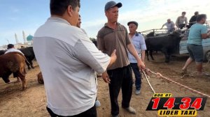 ХОРАЗМ МОЛ  БОЗОР  НАРХЛАРИ  12-ИЮНЬ  UZLIDER TV  БОГОТ