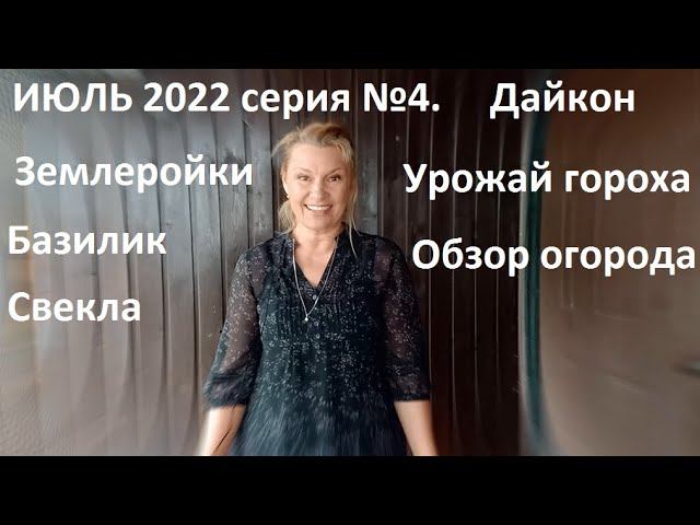 Июль 2022 серия №4 Обзор огорода, урожай, вредители и........ смотреть онлайн
