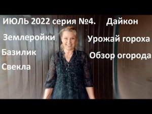 Июль 2022 серия №4 Обзор огорода, урожай, вредители и........