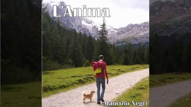 Il mago смотреть онлайн