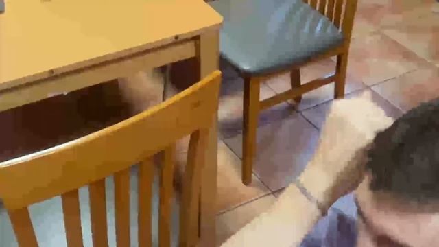 МЛМ, 1 серия, Валенсия смотреть онлайн