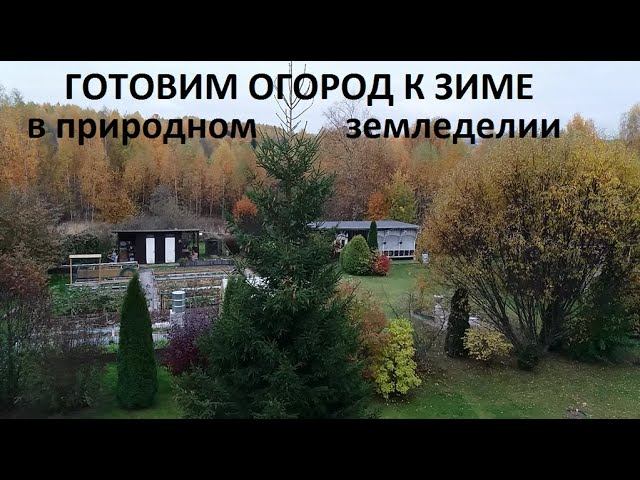 Готовим огород к зиме в природном земледелии. смотреть онлайн