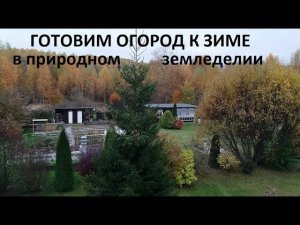 Готовим огород к зиме в природном земледелии.