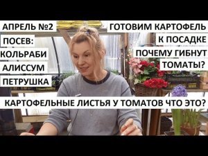 Апрель 2. Готовим картофель к посадке. Посев кольраби, алиссума, петрушки. Отвечаю на вопросы.