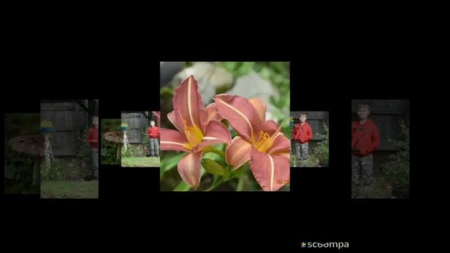 Дачные фантазии смотреть онлайн