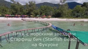 Что посмотреть на Фукуоке – офигенный 👍 пляж с морскими звездами Starfish Beach