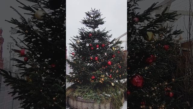Фестиваль "Китайский новый год" в Москве. Открытие 28 января. 🎄 смотреть онлайн