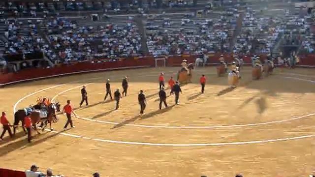 Bull Fight - Valencia 21/7/07 Pt 1 of 4 смотреть онлайн