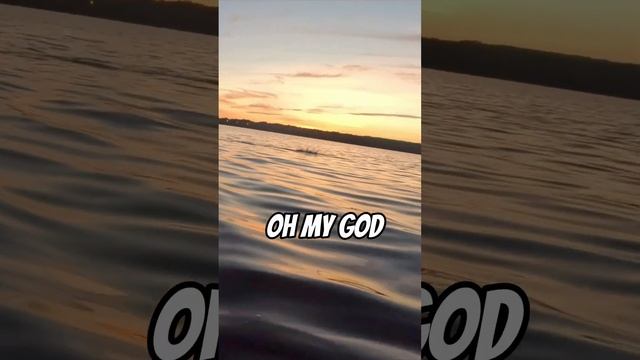 I Finally CAUGHT THIS BIG FISH #shorts смотреть онлайн