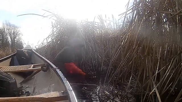 My First Beaver 7 years ago. смотреть онлайн