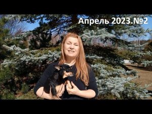 Апрель 2023. серия №2 . Посев семян ранней весной в природном земледелии -пошаговая инструкция.