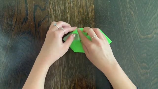 1.5.20 Ms Thurlow shows you how to make an origami chameleon смотреть онлайн