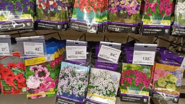 Обзор семян Лемана Про (Леруа Мерлен)