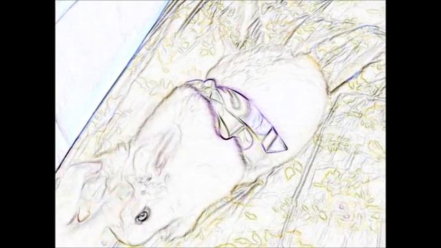 Милый кролик смотреть онлайн