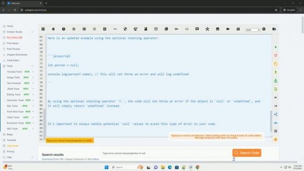 Type error cannot read properties of null