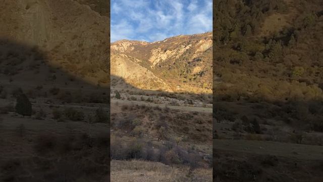 Охота на кролика смотреть онлайн