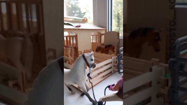 Потому что не адекватный🤣 #шляйх #лошадишляйх #рекомендации #schliech #horse #рек #лошади #хочуврек смотреть онлайн