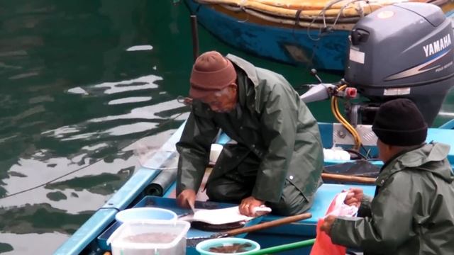 Sai Kung, Hong Kong. The Live Fish and Seafood Market on the Boats. Part 3 смотреть онлайн