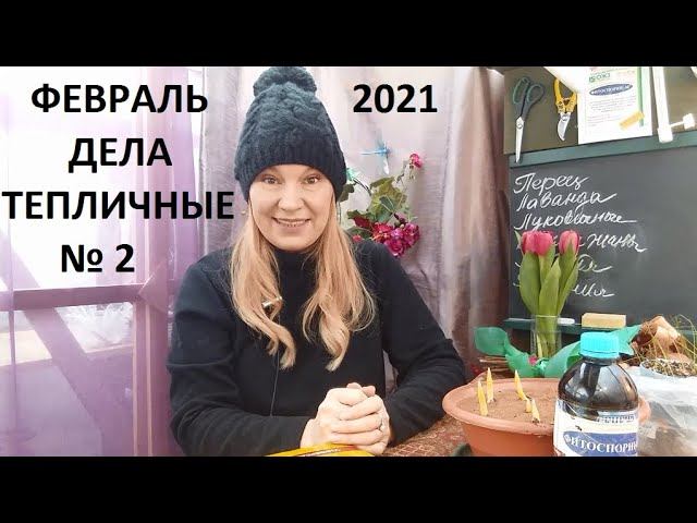 Февраль 2021 дела тепличные №2 смотреть онлайн