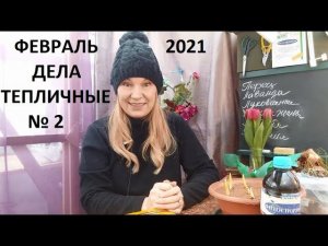Февраль  2021 дела тепличные №2