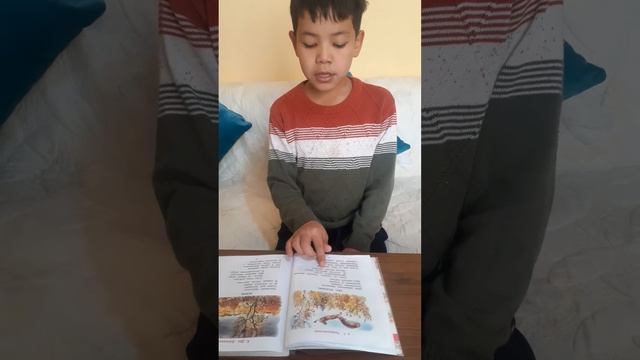 "Лес осенью" смотреть онлайн