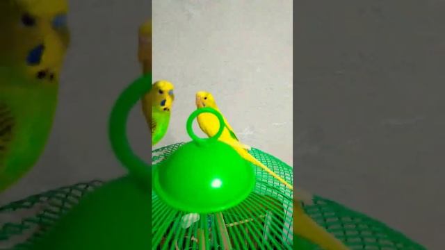 Милка Лунтик полёты смотреть онлайн