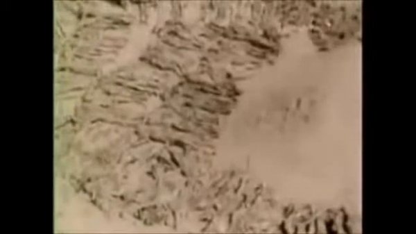 Бабкины Внуки Песня брянских партизан