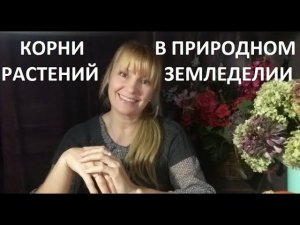 Связь между корнями растений и микроорганизмами.