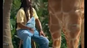 реклама скитлс с жирафом