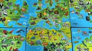 Обзор игры «Найди меня! Животные мира»