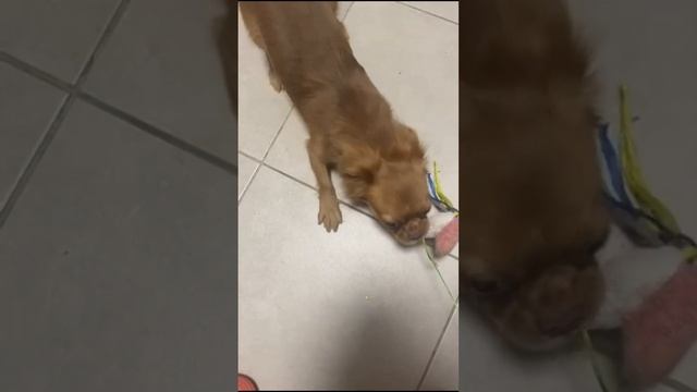 Бос качалки смотреть онлайн