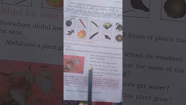 NCERT - EVS, CLASS - 4, Chapter - 19 (Abdul in the Garden) Video - 2 смотреть онлайн