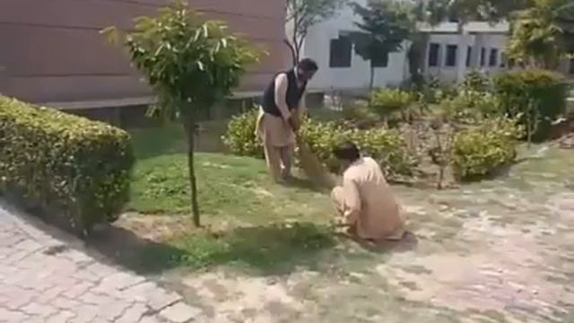 Government Post Graduate College Sheikhupura1 смотреть онлайн